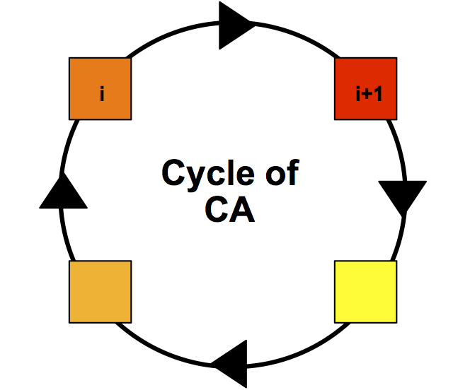 cycle of the CA